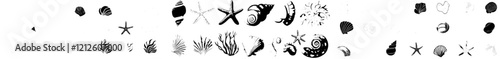 Collection of cartoon seashells. Marine and tropical seashells for aquariums, including starfish, mollusks, oysters, and clams in a modern illustration.