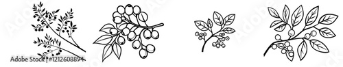 Hand-drawn icon of a rowan tree branch doodle.