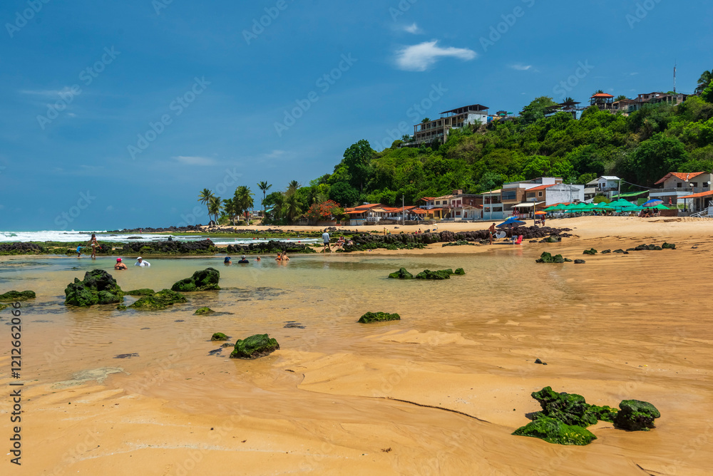 Fototapeta premium Scenic View of Baía Formosa Beach, Rio Grande do Norte, Brazil on January 14, 2025.