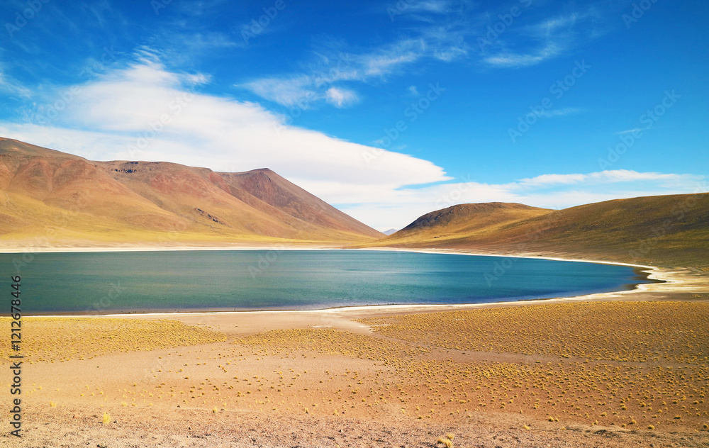 Φωτογραφία Laguna Miniques, one of the amazing deep blue lagoons on the altiplano of Antofa