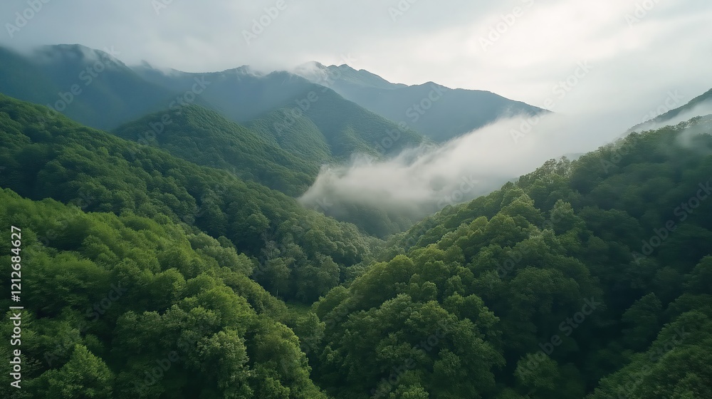 Misty Mountaintop Aerial View Misty Mountaintop Aerial View