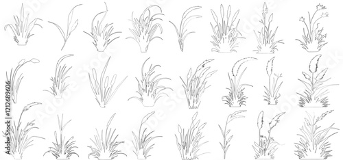 Plant elevation line silhouettes outline - grass, shrub, tree set vector