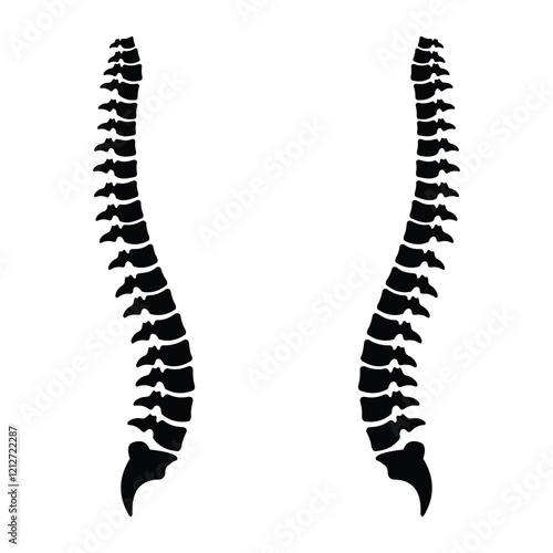 Spinal cord silhouette vector template