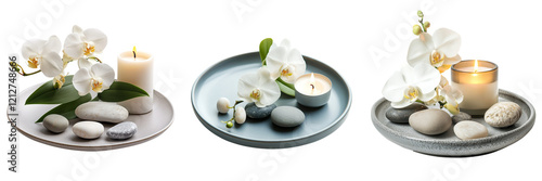 Set of floral home decor with white orchid candle isolated on a transparent background