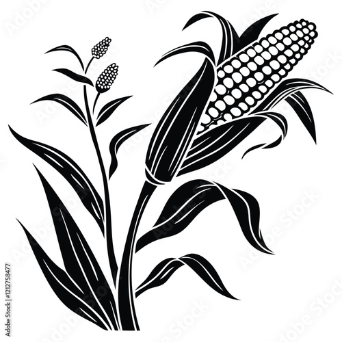 Detailed silhouette of a corn stalk with two ears of corn and flowing leaves. Suitable for stock images related to agriculture, harvest, or botanical studies.