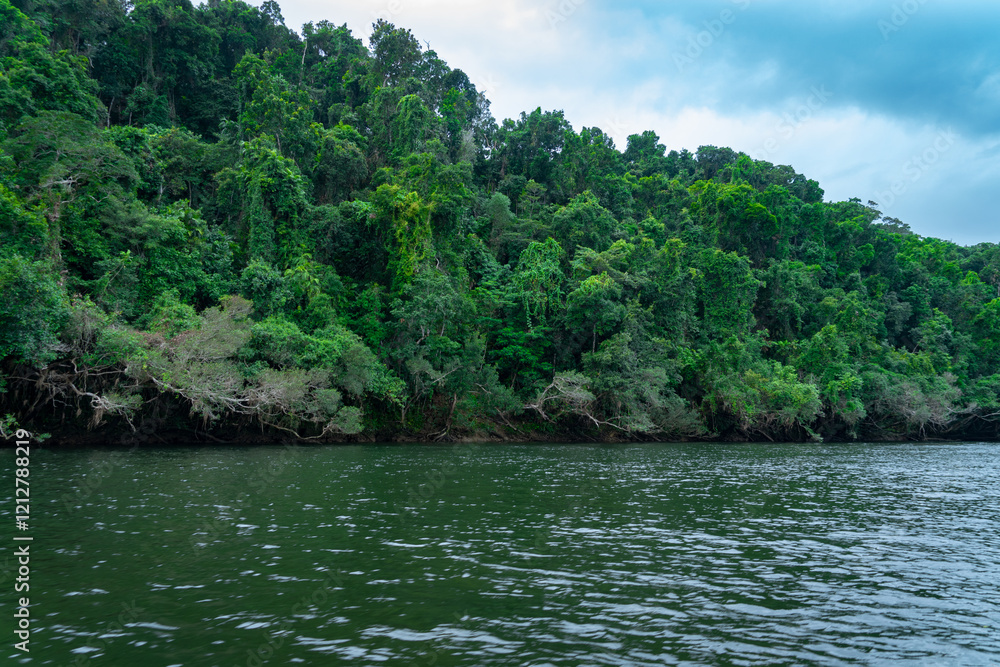 Magischer Daintree Regenwald, Australien – Grüne Wildnis im ältesten tropischen Regenwald der Welt Magischer Daintree Regenwald, Australien – Grüne Wildnis im ältesten tropischen Regenwald der Welt