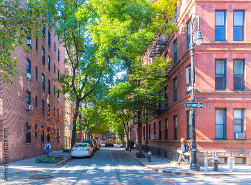 Green trees in a picturesque street in Greenwich Village