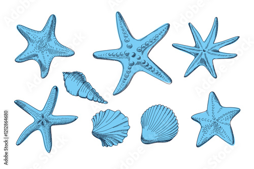 Set with seashells, starfish in blue color. Sketch style. Set of sea objects. Ocean underwater sink seashell conch aquatic mollusk. Hand drawn illustrations. Vector isolated on white background.