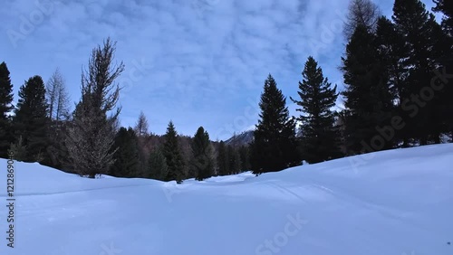 Cross-country skiing on a well-groomed ski trail in Switzerland. Part of Engadin Skimarathon between St. Moritz and Pontresina. Nordic skiing in a forest and snow-covered mountains. Winter Sport. photo