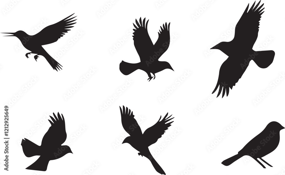 Fototapeta premium Collection of bird silhouettes in various poses, flying, perching, and standing postures of different species shown as black shapes, isolated on blank transparent white background