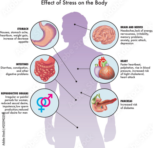Medical illustration of effect of stress on the body, with annotations.