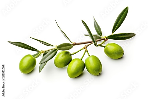 Wallpaper Mural Isolated white background with green olive branch Torontodigital.ca