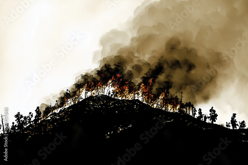 bushfire, fire, burning trees, burning palm trees	