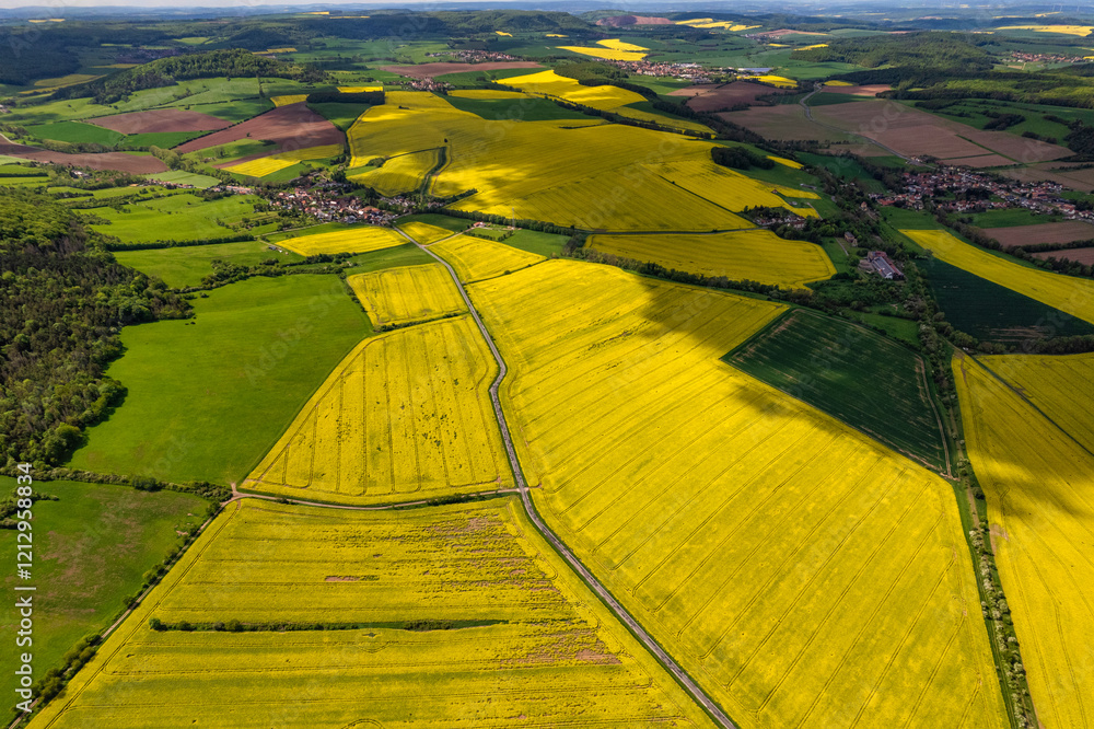 Top view of rapeseed fields. Yellow rapeseed field with stripes and abstract landscape. Germany.