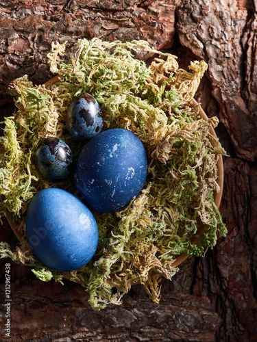 A collection of blue eggs of varying shades rests on soft green moss, surrounded by rough wooden bark. This arrangement evokes a tranquil springtime atmosphere, ideal for seasonal celebration photo