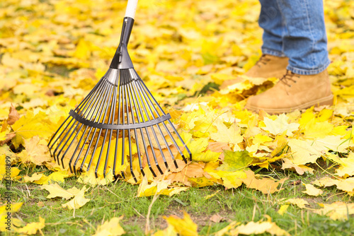 Man gathering fallen leaves with fan rake outdoors, closeup photo