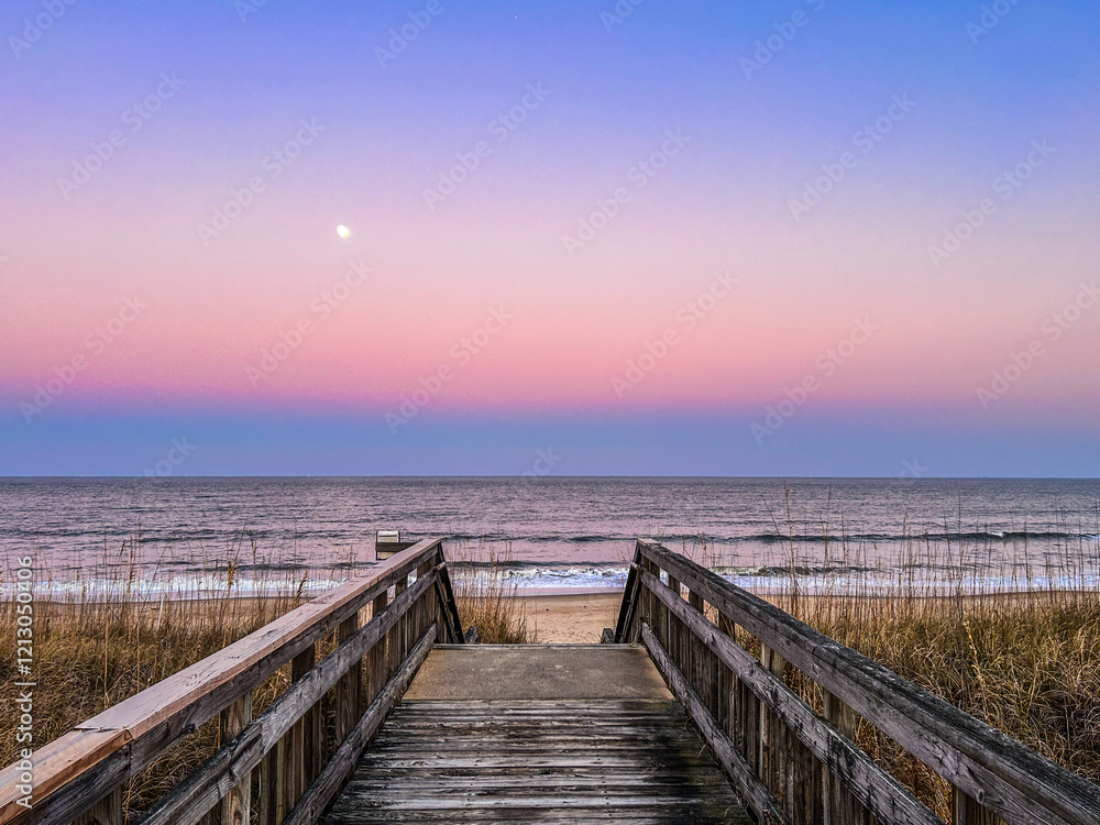 Fototapeta premium Look Out