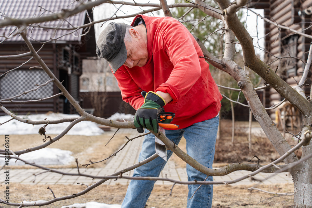 gardener cutting a tree branch with a saw during seasonal pruning in the garden gardener cutting a tree branch with a saw during seasonal pruning in the garden