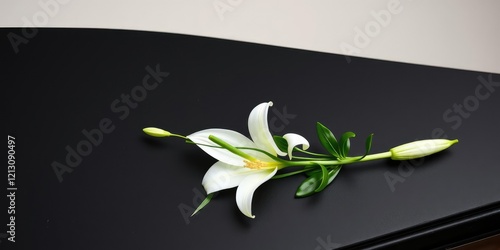 A sprig of greenery wraps around a white lily on the black coffin lid, adding texture and depth, dark wood, darkness, funereal arrangements