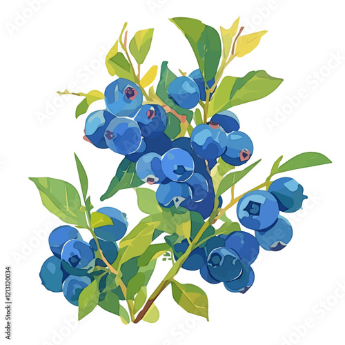 Blueberry Bush with Fruit – Fresh Watercolor Vector Illustration, Berry-Laden Bush Design, Nature-Inspired Artwork, Vibrant Blueberry Bush with Ripe Fruits Vector.  
