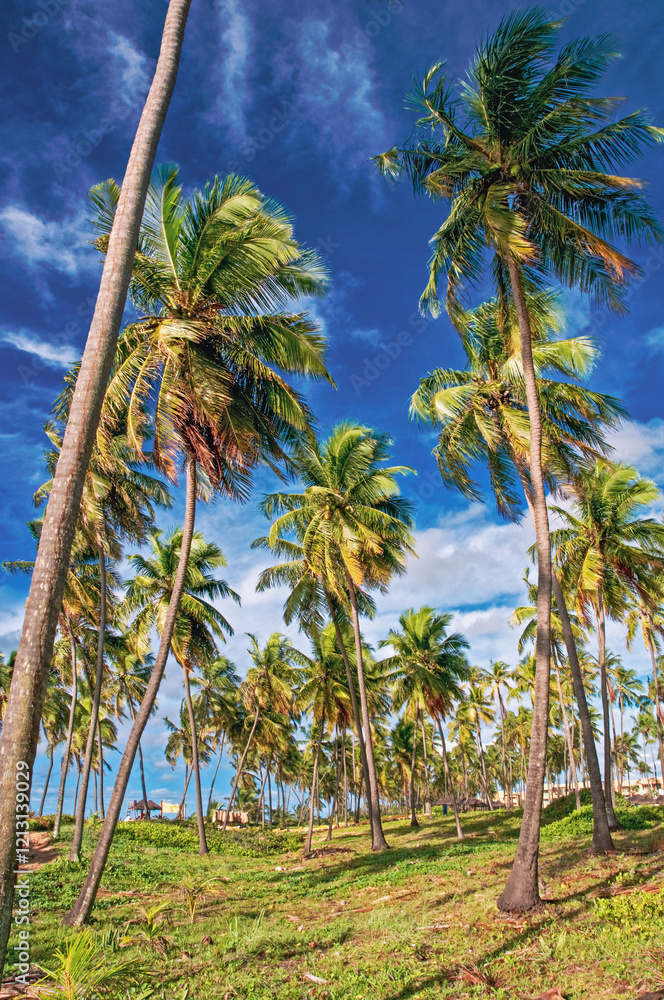 Obraz premium Beach and coconuts trees at Sauipe Coast, on the northern coast of the state of Bahia. The entire area is filled with hotels and resorts , which form the largest tourist complex in Brazil. 2018
