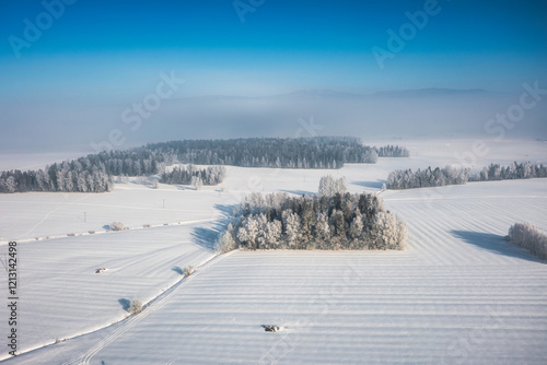 Beautiful landscape of the frozen meadow with trees in Podhale at winter. Poland photo