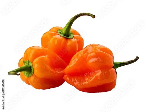 Habanero Isolated on white background