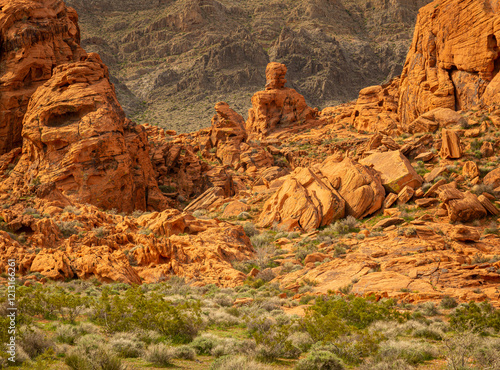 Red rock formations at Nevada’s famous state park the Valley of Fire