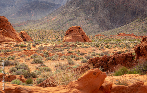 Rock formations in Nevada’s State Park the Valley of Fire