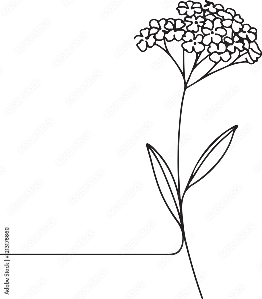 Obraz premium Simple Verbena Flower Line Drawing for Vector Art