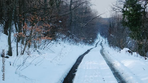 Snowy road in wilderness, winter nature theme