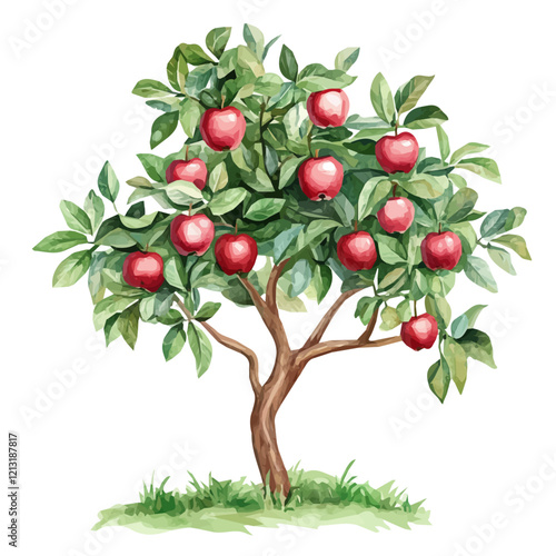Emu Apple Tree with Fruit – Stunning Watercolor Vector Illustration, Unique Australian Tree Design, Nature-Inspired Artwork, Fresh Emu Apple Tree with Fruit Vector.  
