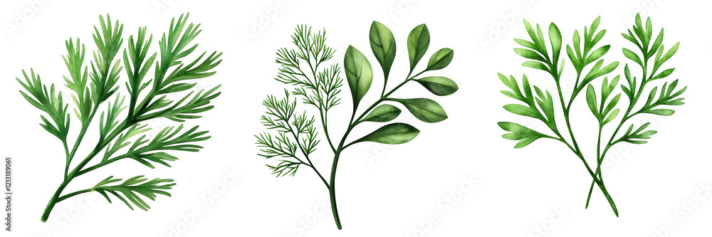Three varieties of lush green foliage display intricate leaf patterns and textures, showcasing the beauty of natural plant life. Three varieties of lush green foliage display intricate leaf patterns and textures, showcasing the beauty of natural plant life.
