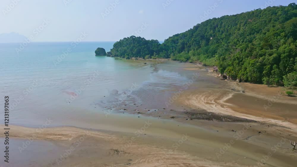 Low drone view of coastal tropical jungle