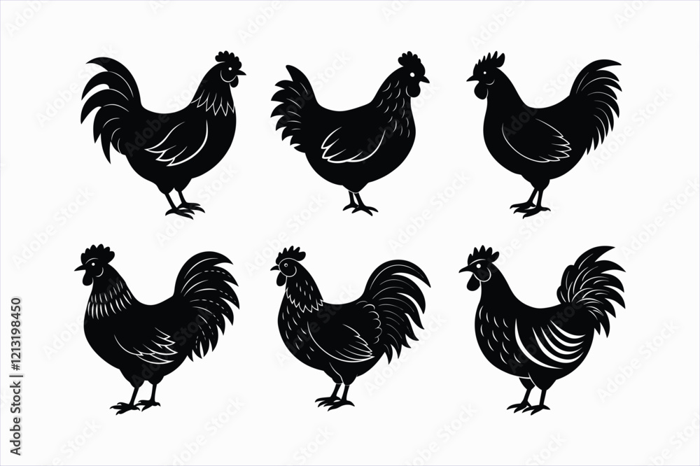 Fototapeta premium Set of chicken vector illustration