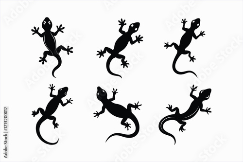Set of gecko vector illustration