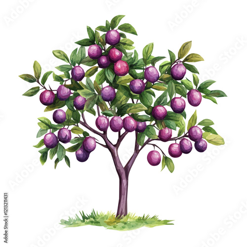 Illawarra Plum Tree with Fruit – Unique Watercolor Vector Illustration for Artistic Designs  
