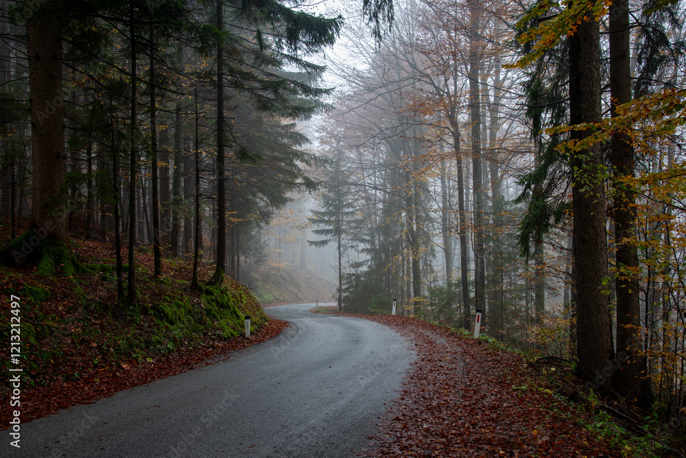Obraz premium Empty mountain winding road disappearing into foggy autumn forest
