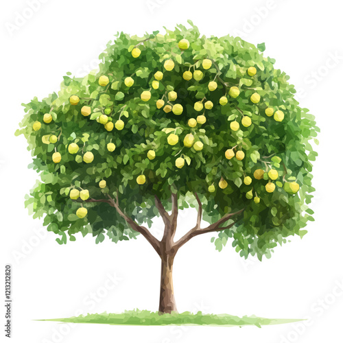 Indian Gooseberry Tree with Fruit – Vibrant Watercolor Vector Illustration for Artistic Creations  
