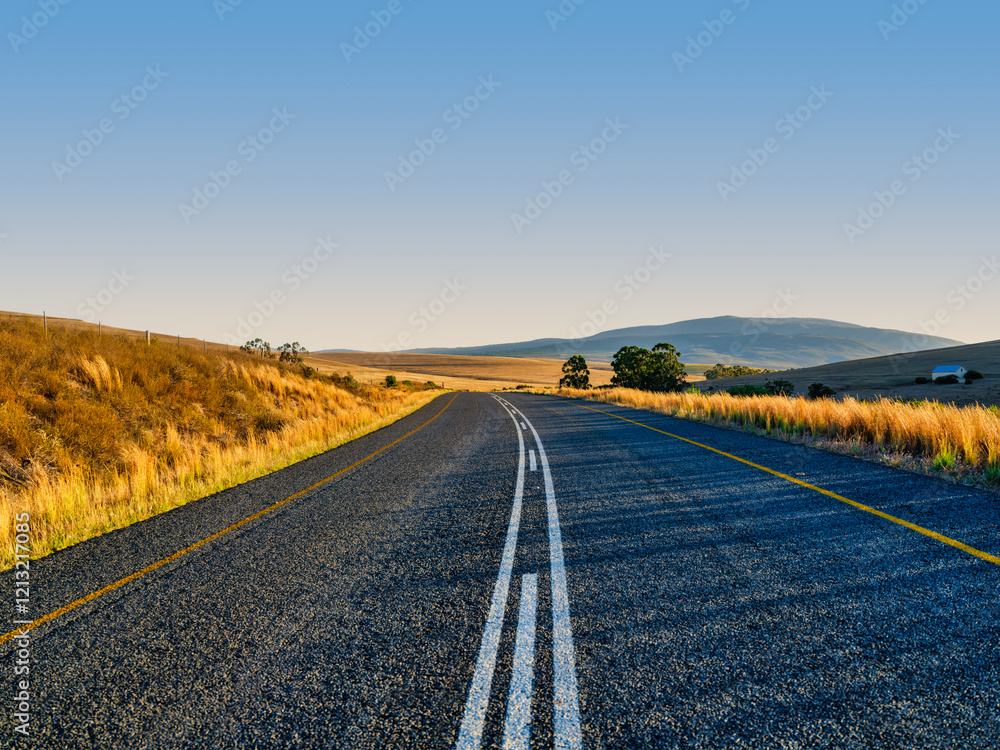 Scenic sunset view of the winding R43 road cutting through golden harvested fields, Caledon, South Africa