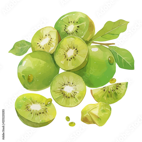 Kiwi Vine with Fruit – Exquisite Watercolor Vector Art, Botanical Kiwi Illustration, Handcrafted Natural Beauty, Stunning Fruit-bearing Vine Painting  
