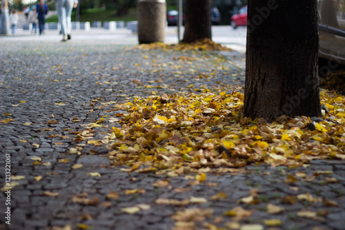 A pile of fallen yellow leaves on the paving stones