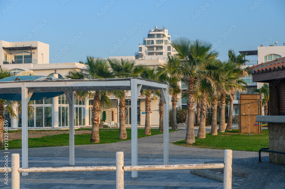 Serenity of a Coastal Pathway Surrounded by Palm Trees and Modern Architecture Serenity of a Coastal Pathway Surrounded by Palm Trees and Modern Architecture