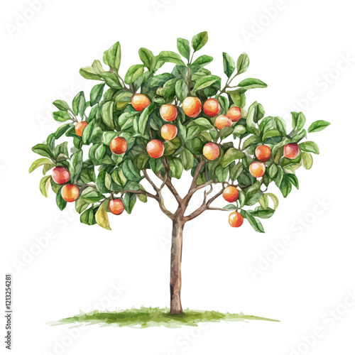 Natal Plum Tree with Fruit – Watercolor Illustration, Tropical Botanical Artwork, Lush Green Foliage with Ripe Natal Plums, Vibrant Digital Painting  
