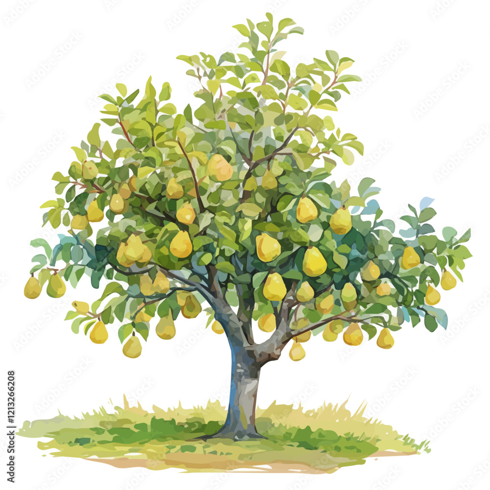 custom made wallpaper toronto digitalPear Tree with Fruit | Delicate Watercolor Flat Vector Artwork.