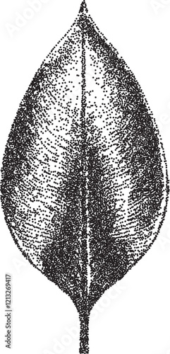 Leaf vintage y2k stipple art, stippled halftone stipple brutalist retro vector png with transparent background, detailed 2000s aesthetic photocopy effect tattoo
