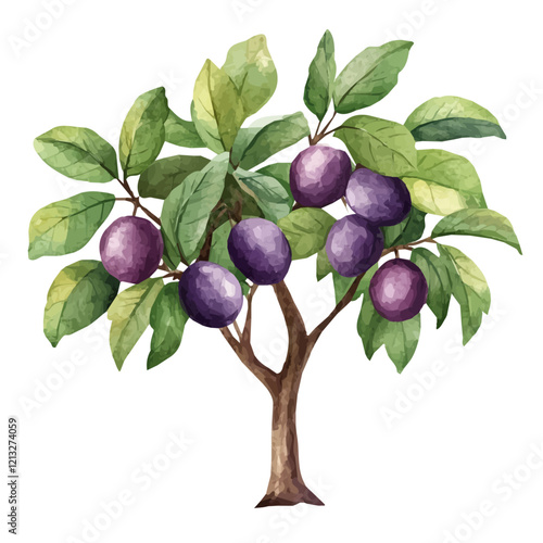 Prune Plum Tree with Fruit | Watercolor-Style Flat Vector Illustration.  
