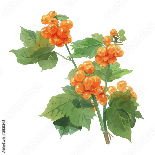 Salmonberry Plant with Ripe Berries | Artistic Watercolor Botanical Illustration.  
