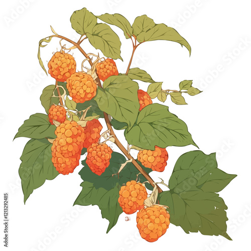 Salmonberry Plant with Ripe Berries | Artistic Watercolor Botanical Illustration.  
