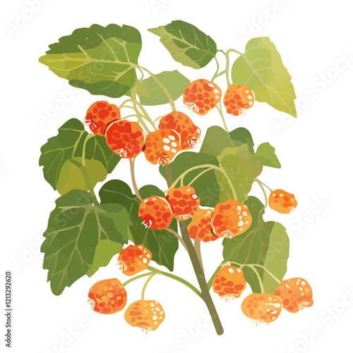Salmonberry Plant with Ripe Berries | Artistic Watercolor Botanical Illustration.  
